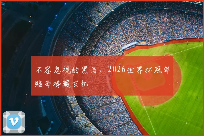 不容忽视的黑马,2026世界杯冠军赔率榜藏玄机