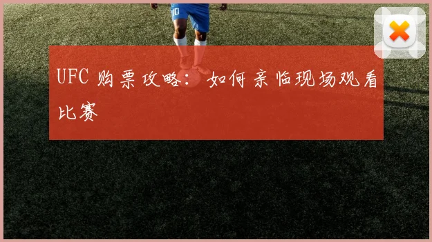 UFC 购票攻略:如何亲临现场观看比赛